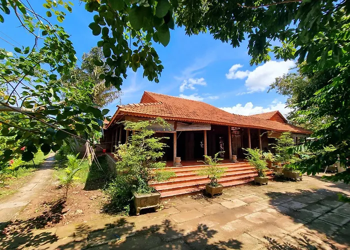 Ut Binh Homestay