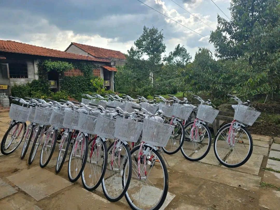 Ut Binh * Vinh Long